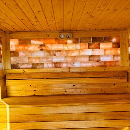 Pensiunea Marea Alpina, Maramures Ocna Şugatag Exterior foto