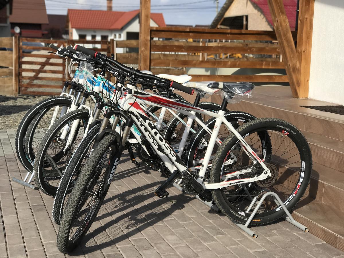 Pensiunea Marea Alpina, Maramures Ocna Şugatag Exterior foto