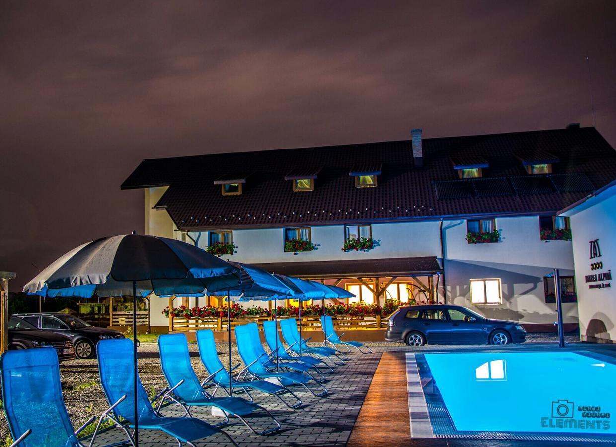 Pensiunea Marea Alpina, Maramures Ocna Şugatag Exterior foto